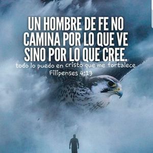 Meet your Posher, Moises